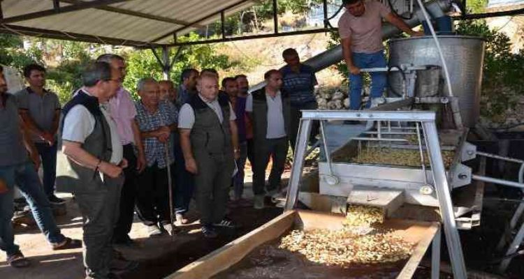 Orman Bölge Müdürü Yalçın, Mut'taki sahalarda incelemelerde bulundu