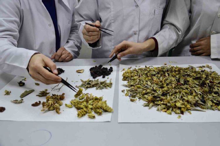 Bilimsel araştırma yapıldı: Kış çayları yarardan çok zarar verebilir