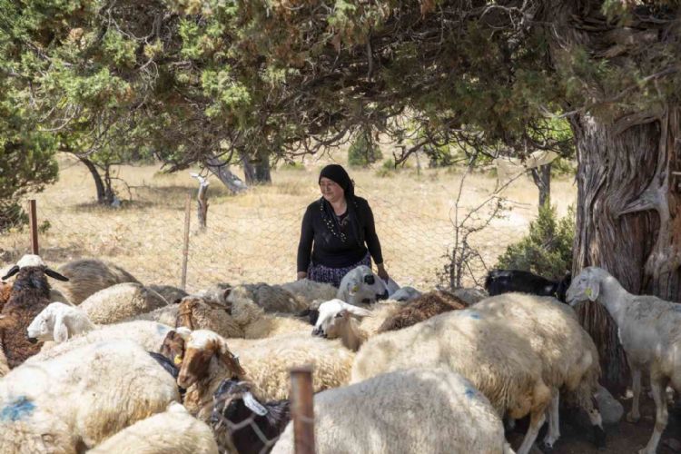 ‘Hadi Gel Köyümüze Destek Verelim’ projesi 5. yılında