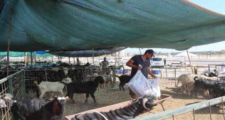 Toroslar'da kurban satış ve kesim alanları hazırlandı