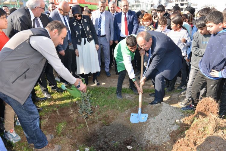 Mersin’de okul bahçelerine 600 zeytin fidanı dikildi