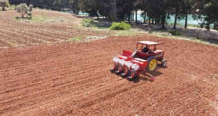 Tarsus Belediyesinden hayvan besicilerine silajlık mısır desteği