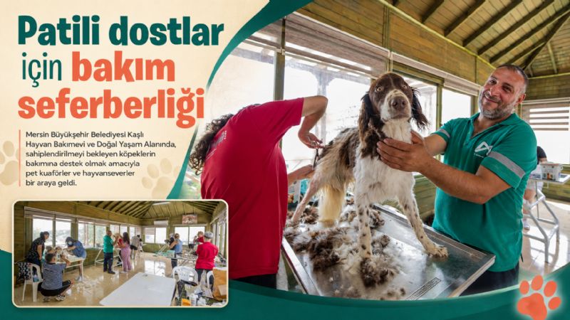 Patili dostlar için bakım seferberliği