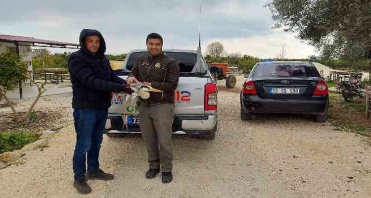 Yaralı balıkçıl tedaviye alındı