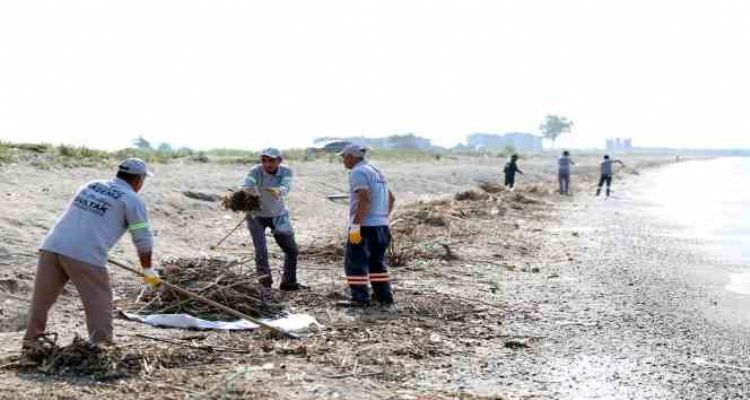 Mersin'de caretta carettaların üreme alanı sahiller temizleniyor