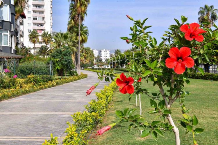 Mersin’de 9 milyon bitkilendirme çalışması yapıldı