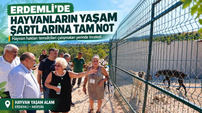 Erdemli’de hayvanların yaşam şartlarına yönelik çalışmalara tam not