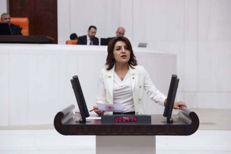 Milletvekili Kış, SMA’lılar İçin İktidara Çağrı Yaptı