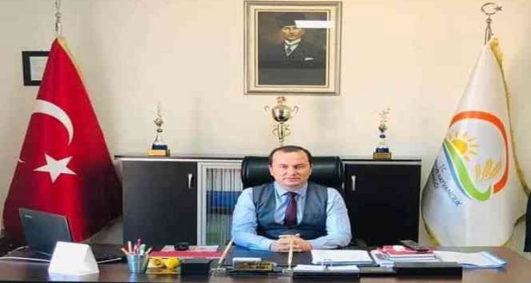 Zeytinde hasat sona erdi, üreticinin yüzü güldü