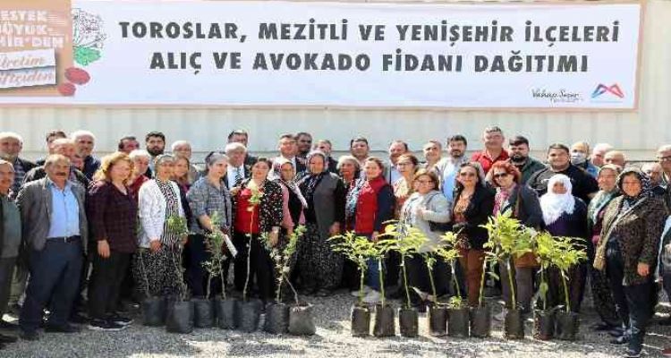 Mersin'de 105 üreticiye avokado ve alıç fidanı desteği