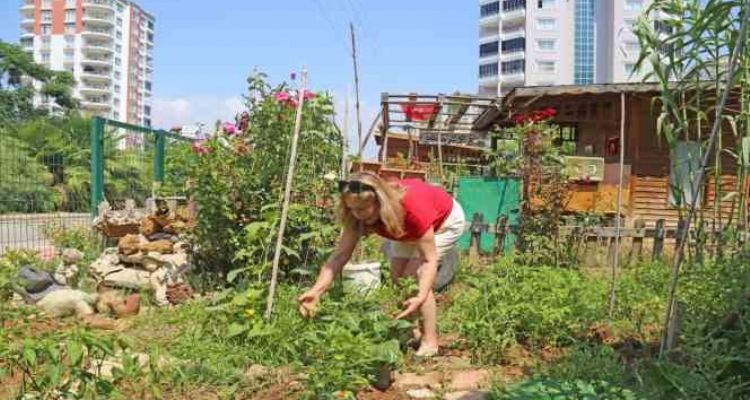 Kanser hastası kadın, hobi bahçesiyle hayata tutundu