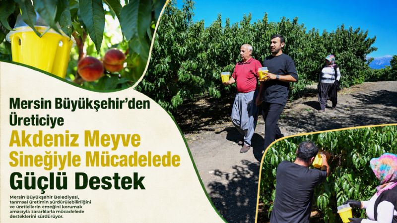  Mersin Büyükşehir’den Üreticiye Akdeniz Meyve Sineğiyle Mücadelede Güçlü Destek