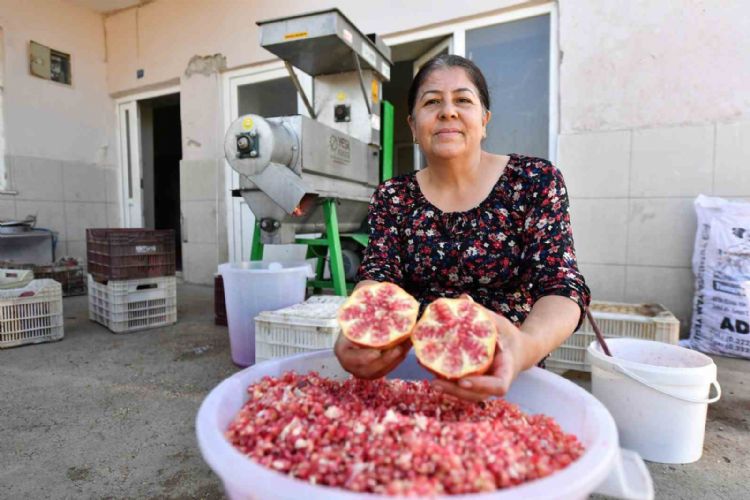 Büyükşehir Belediyesinden üreticiye ‘Nar Taneleme Makinesi’ desteği