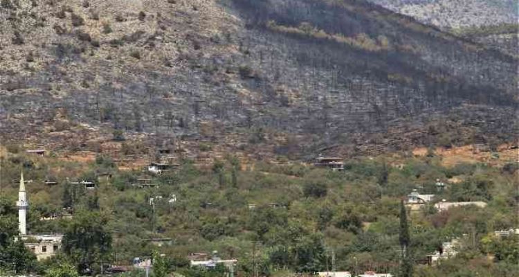 Mersin'deki orman yangını, küle dönen bölge havadan görüntülendi