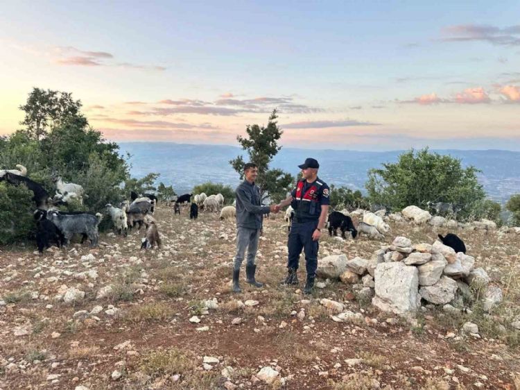 Mersin’de kayıp 40 küçükbaş dronla bulundu
