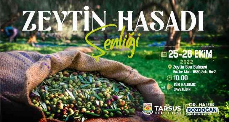 Tarsus Zeytin Hasat Şenliği yarın başlıyor