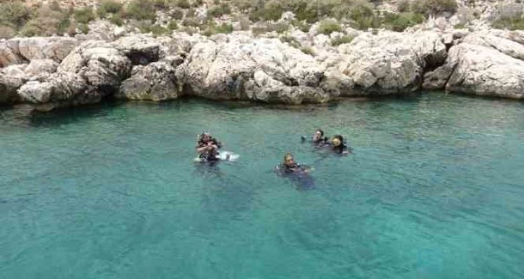 Akdeniz Boğsak Adası çevresinde zengin biyoçeşitliliği gözlendi