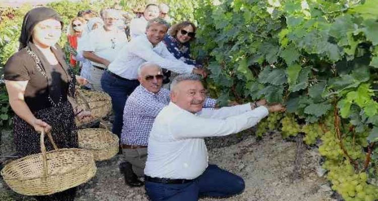 Mersin'de ‘Üzüm Şenliği’ coşkusu