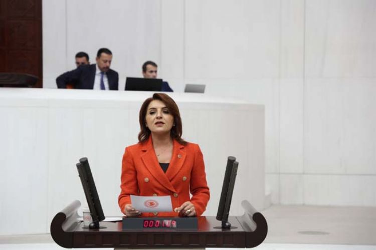 CHP Mersin Milletvekili Gülcan Kış’tan Döviz Bürolarındaki Fırsatçılığa Tepki: Bakan Şimşek’e 10 Soru Yöneltti