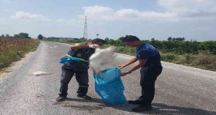 Tarsus'ta 15 kaz telef olmuş halde bulundu