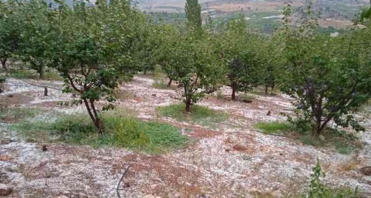 Mersin'de yüksek kesimlerde dolu etkili oldu