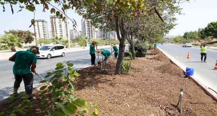 Mersin'de 5 büyük ilçede refüj düzenlemesi yapılıyor