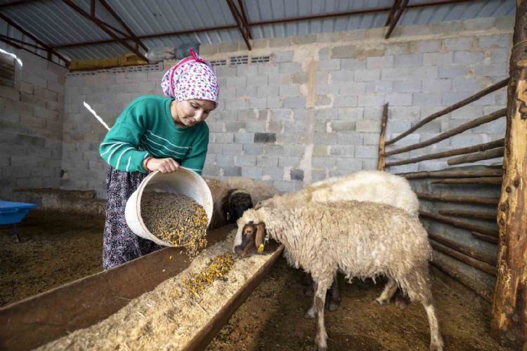 ‘Hadi Gel Köyümüze Geri Dönelim’ projesi bir genci deha üretime kazandırdı