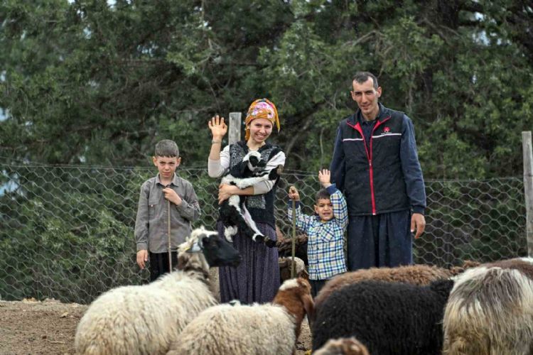 Mersin’de bir koyun alamayan aile sürü sahibi oldu