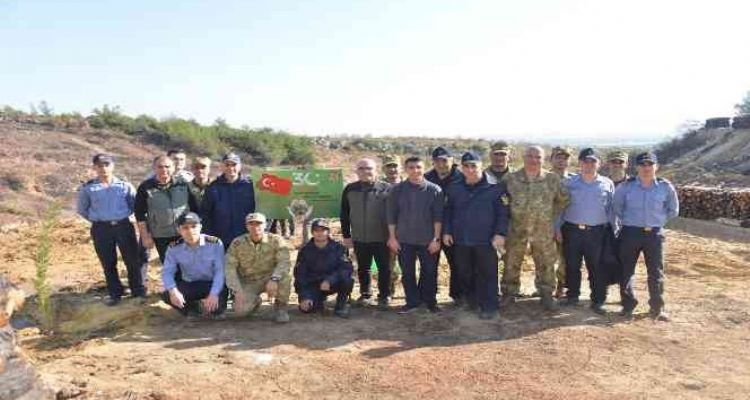 Yangında zarar gören 4 hektarda bin 600 fidan toprakla buluştu