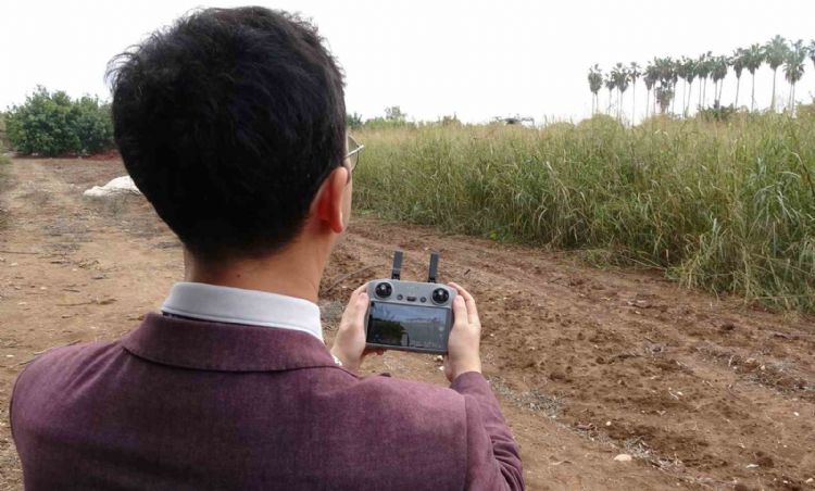 Tarımda zararlılarla mücadele ve verimlilik için milli yazılım: Dronla görüntü alınıyor, yazılım tespit ediyor