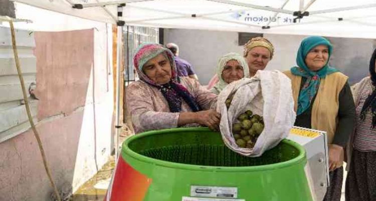 Ceviz soyma makinesi üreticinin yüzünü güldürüyor