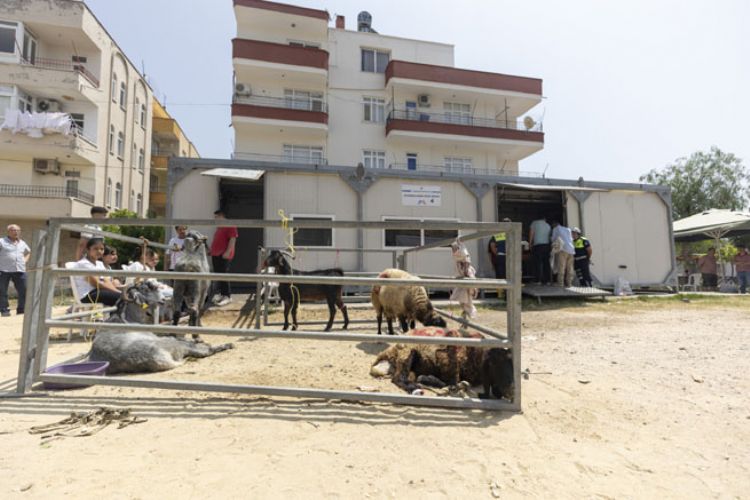 MERSİN BÜYÜKŞEHİR’LE KURBAN KESİMİ HEM HİJYENİK HEM ÜCRETSİZ 